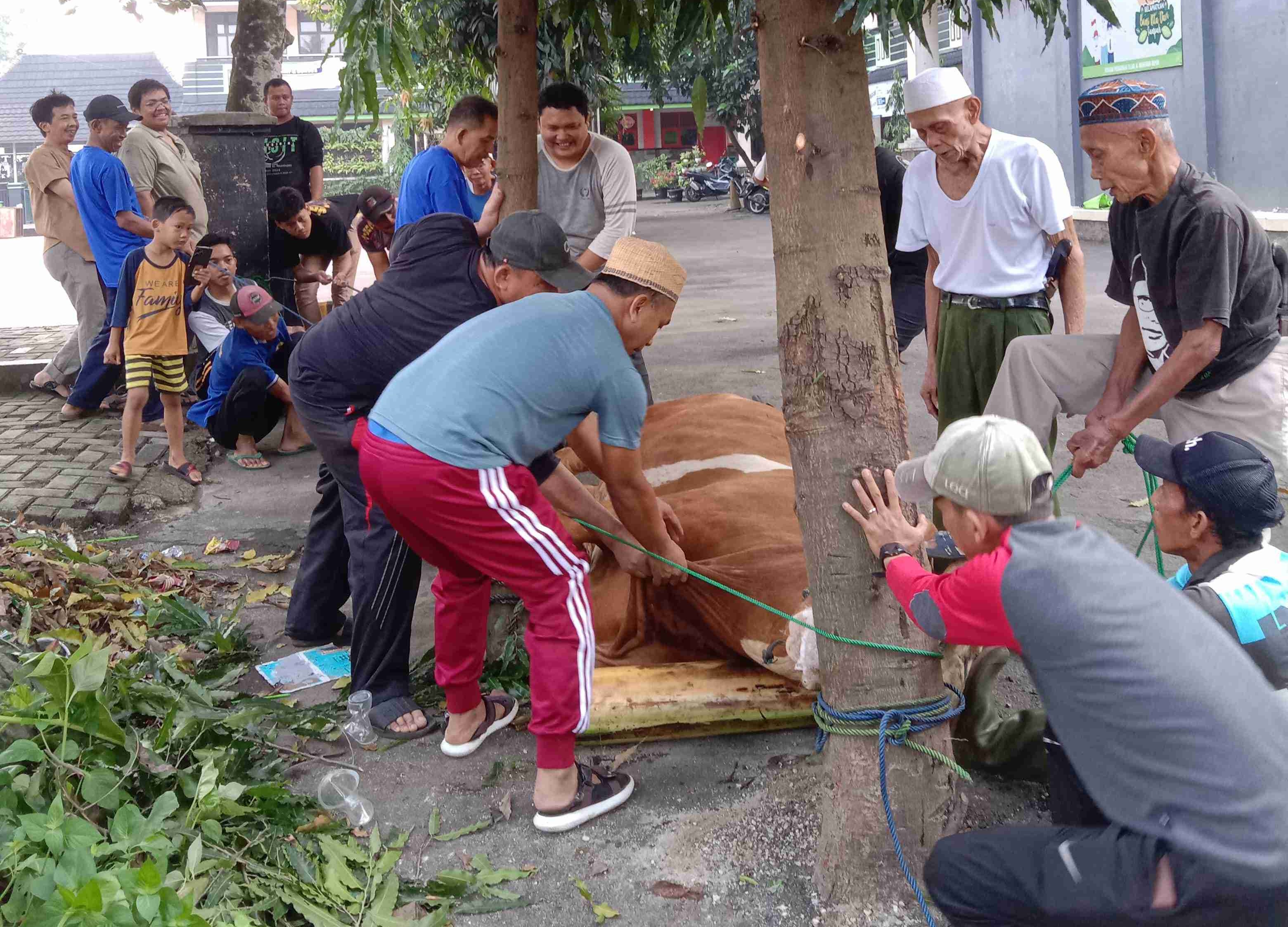 Momentum Idul Adha 1445 H Dengan Penyembilhan Hewan Kurban